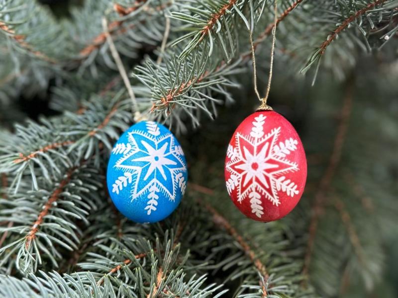 A white-on-blue and white-on-red pysanka with a snowflake-like design hanging on a pine bough